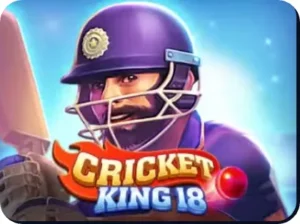 CRICKET KING 18
